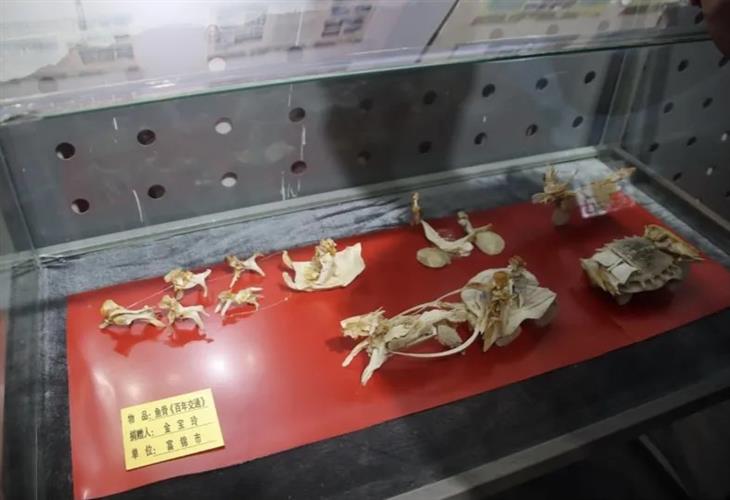 WDCM上传图片