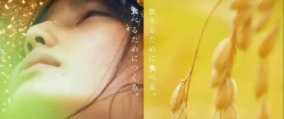 WDCM上传图片